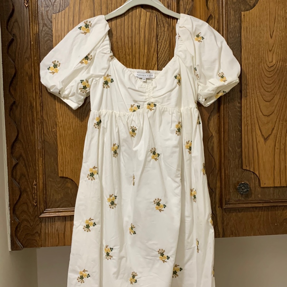 Endless Rose Puff Sleeve Mini Dress